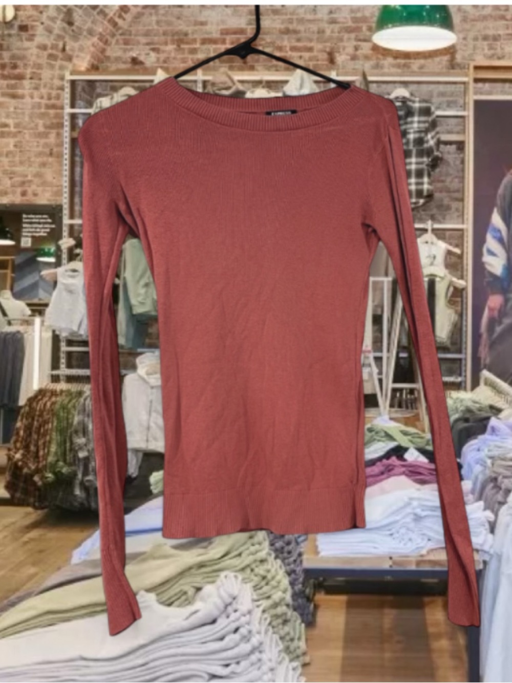 Express Fitted Sweater